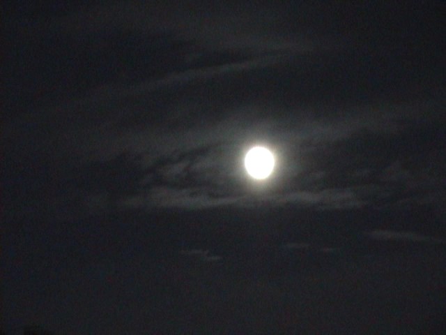 for moonkind