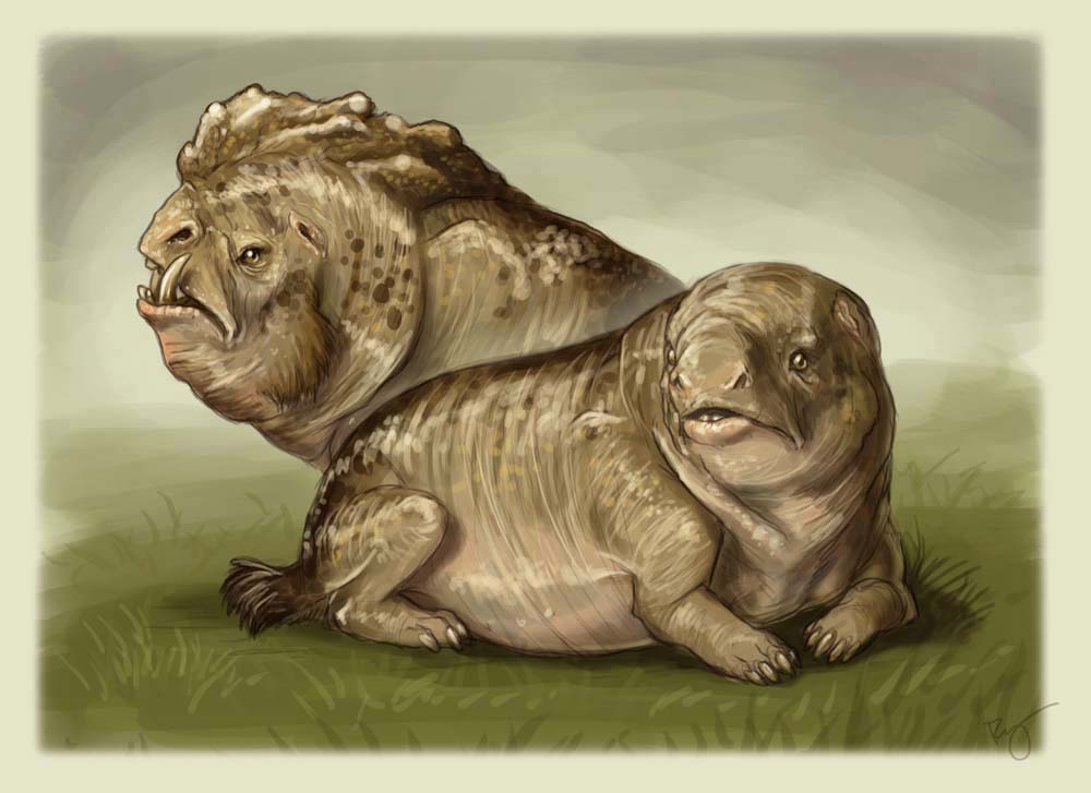 And Haggis are real as we all know.